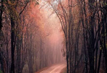 上海队客场负于福建队，战绩受挫