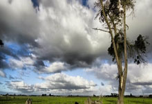 利物浦客场大胜，继续保持不败势头