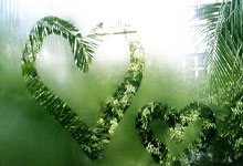 灰熊后卫发誓挑战强敌，气势如虹