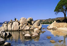 上海队客场负于福建队，战绩受挫